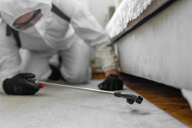 Professional Bed Bug Control technician working in Berry College, GA