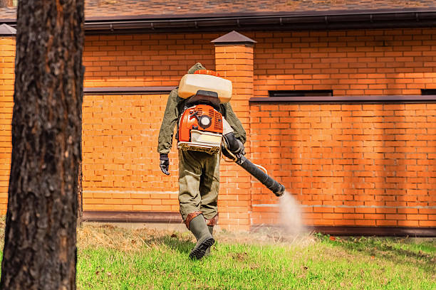 Trusted Cockroach Control service in Berry College, GA - Nex Pest Control